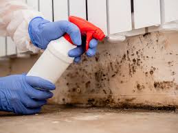 Best Mold Remediation for Healthcare Facilities  in Nedrow, NY